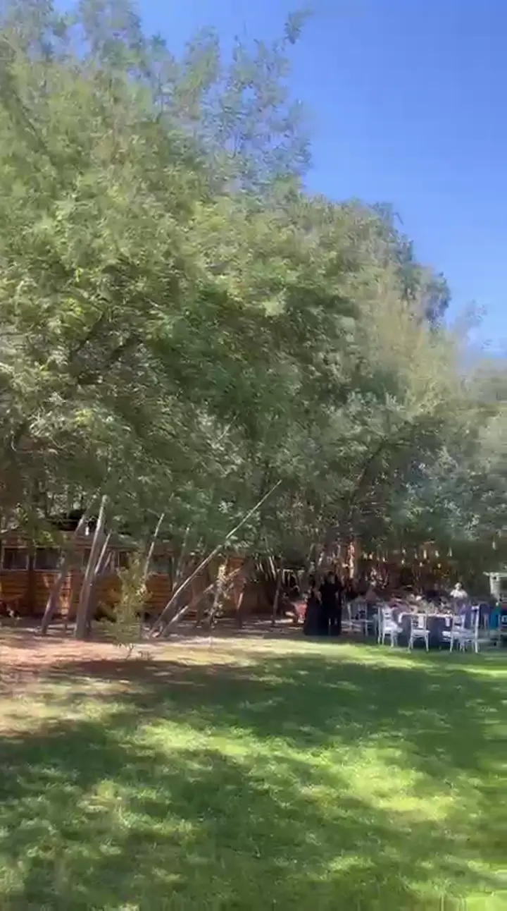 Celebración empresa en jardín
